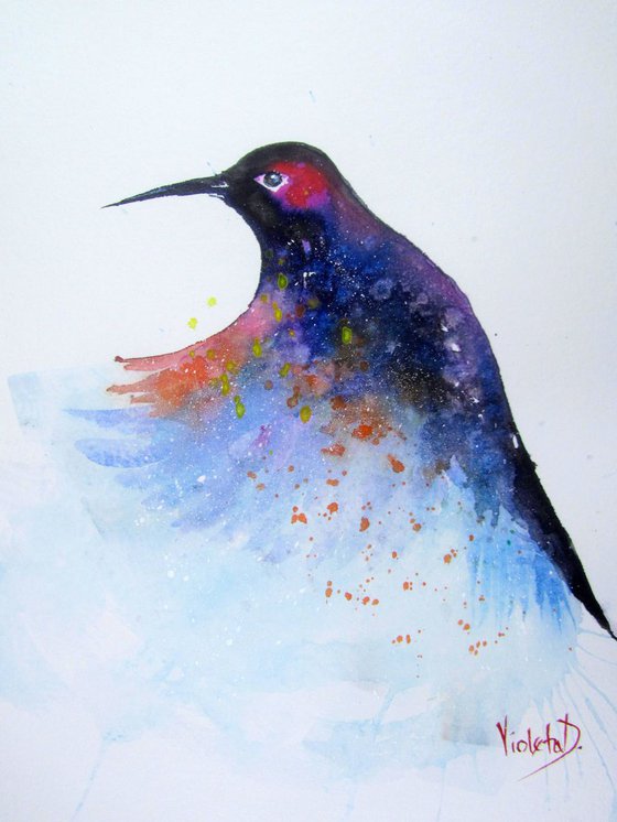 Hummingbird 9