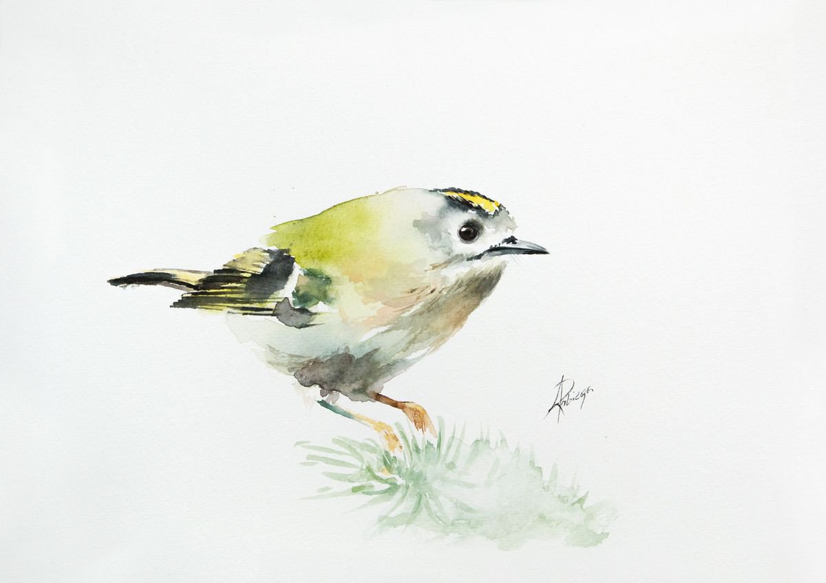 Goldcrest by Andrzej Rabiega