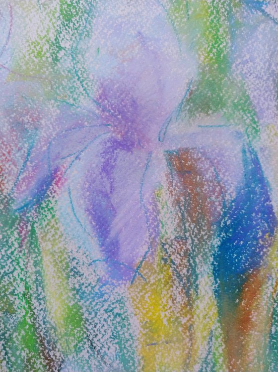 Irises. Original pastel drawing. 50x65 cm