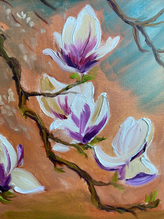 Dutch Magnolia