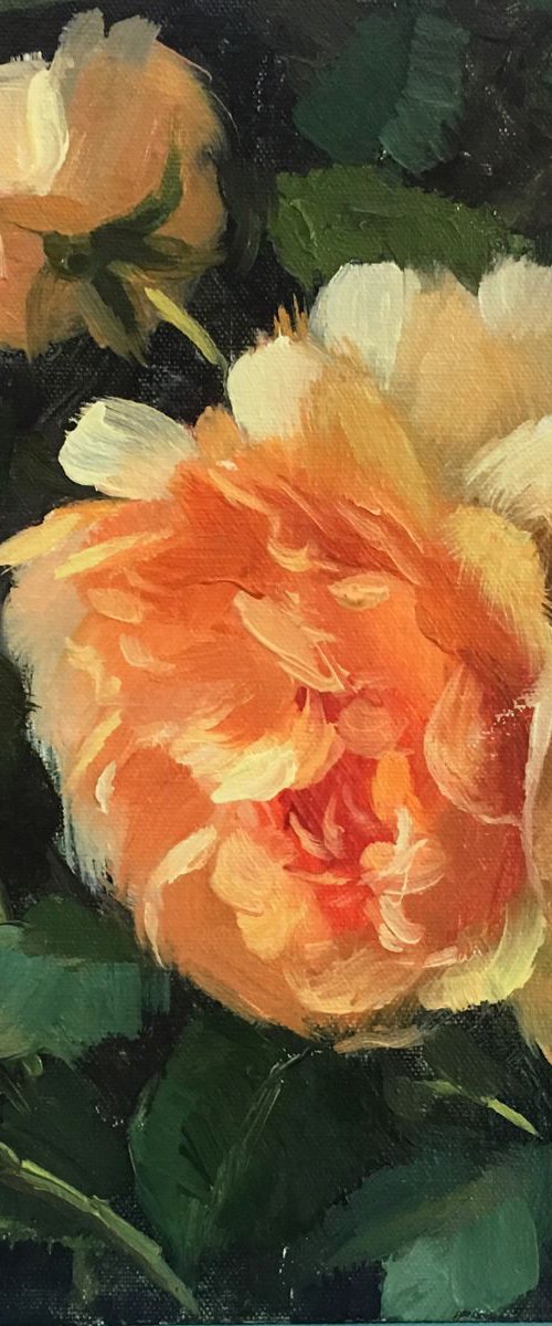Shining Rose by Ling Strube