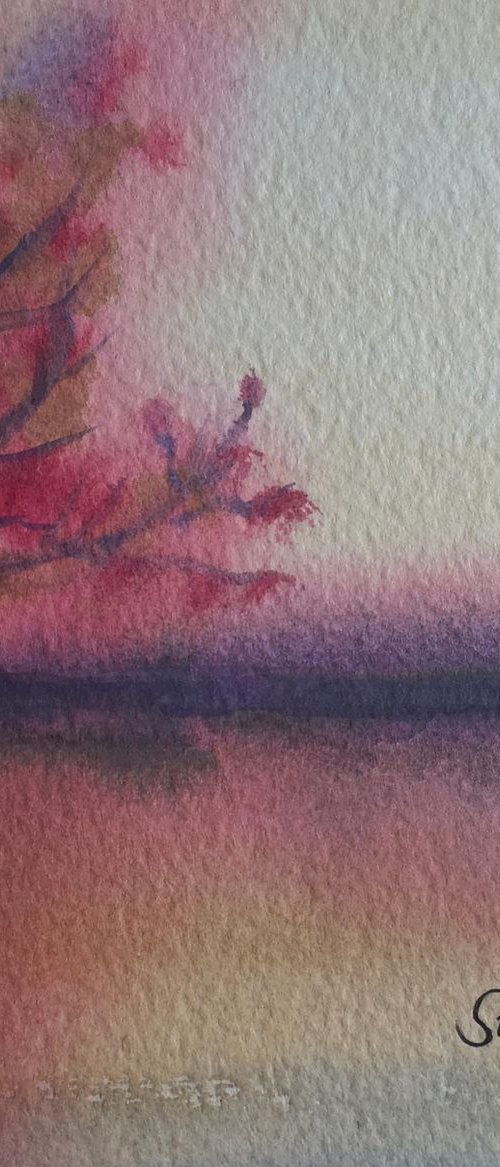 Blossoms at dusk by Samantha Adams