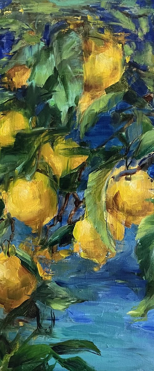 CITRONS DE LA MEDITERANNEE by Elena Mashajeva-Agraphiotis
