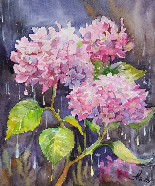 Hydrangea after the rain by Ann Krasikova