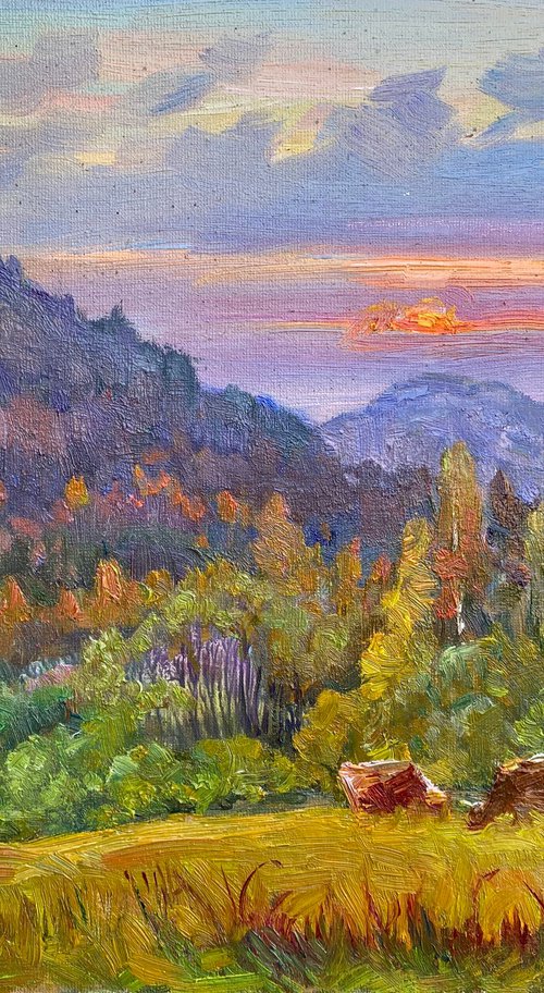Summer evening by Aleksandr Dubrovskyy
