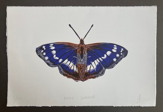 Purple Emperor