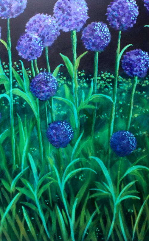 Allium gigantium by Paul J Best