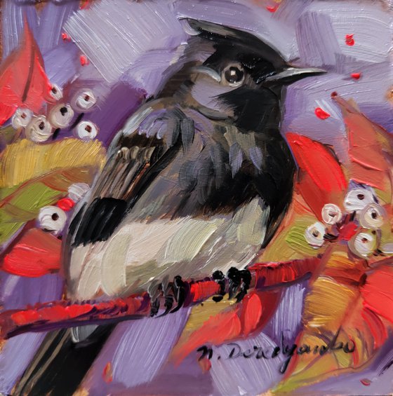 ORIGINAL mini oil painting Black Phoebe on branch bird wall art, Small bird art framed artwork shelf decor