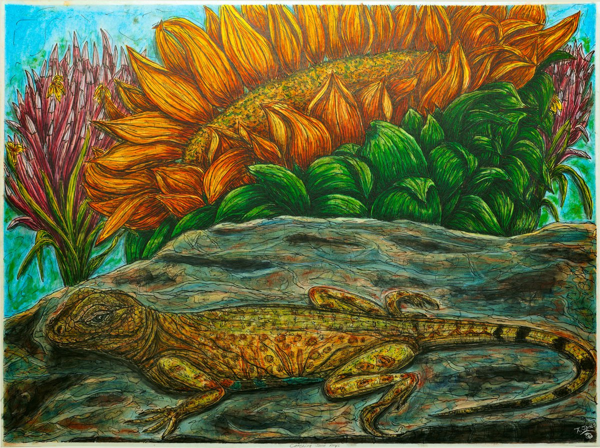 Animal Watercolour By Kim Jones Miller, 24 X 18", Catching Some Rays, Original Artwork