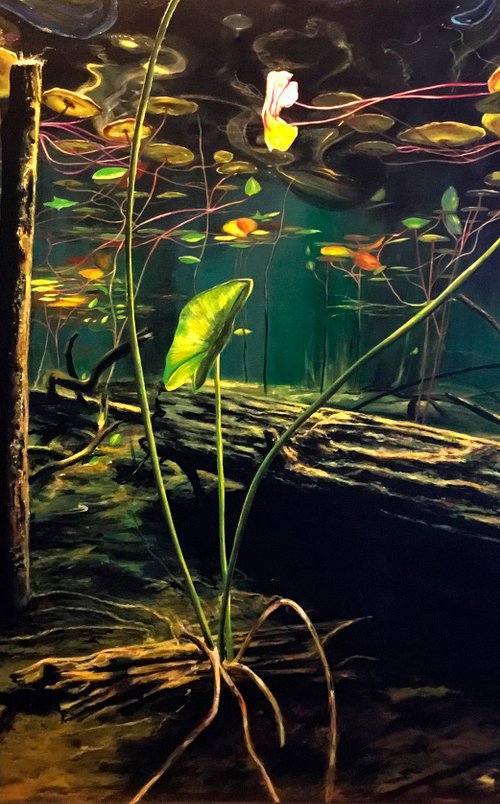 Hidden Worlds II by Fabian Bertona