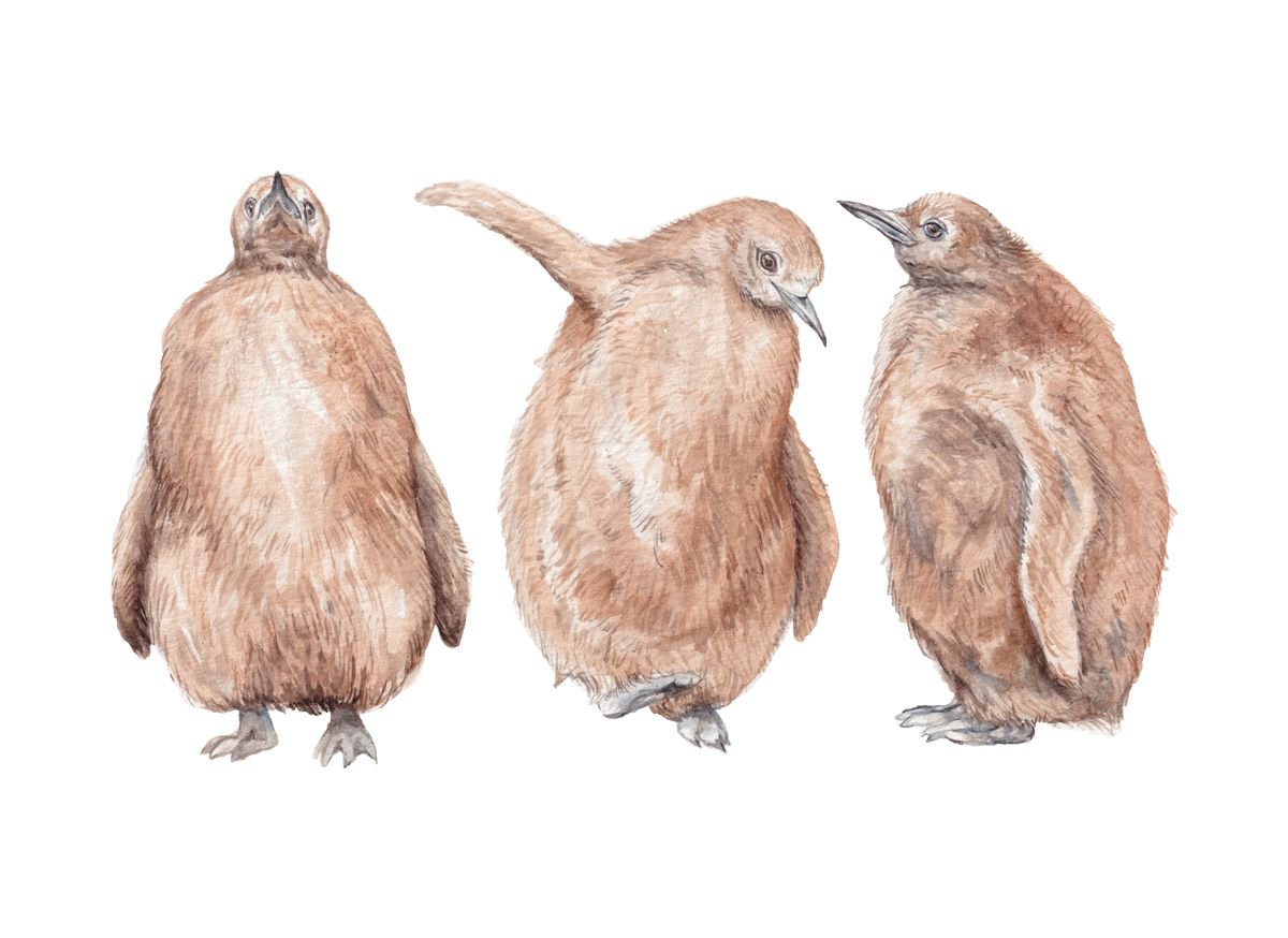 Penguin Chicks Watercolor by Lauren Rogoff