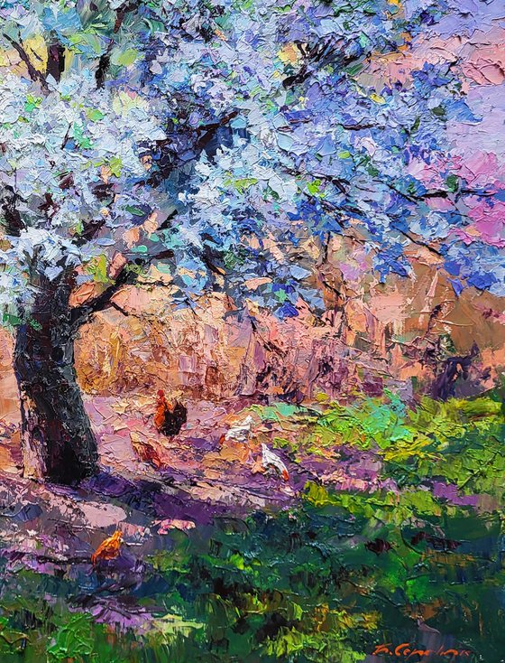 Pear blossoms