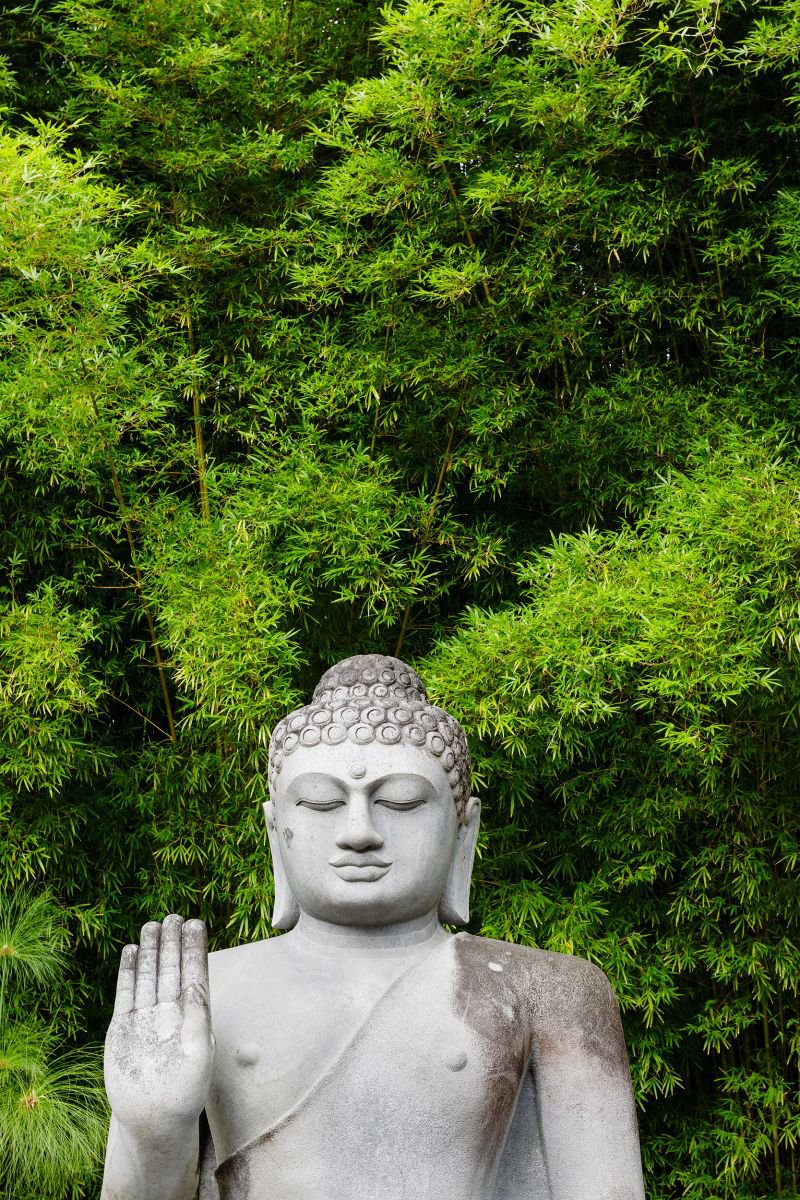 Buddha and Bamboo (136x203cm) by Tom Hanslien