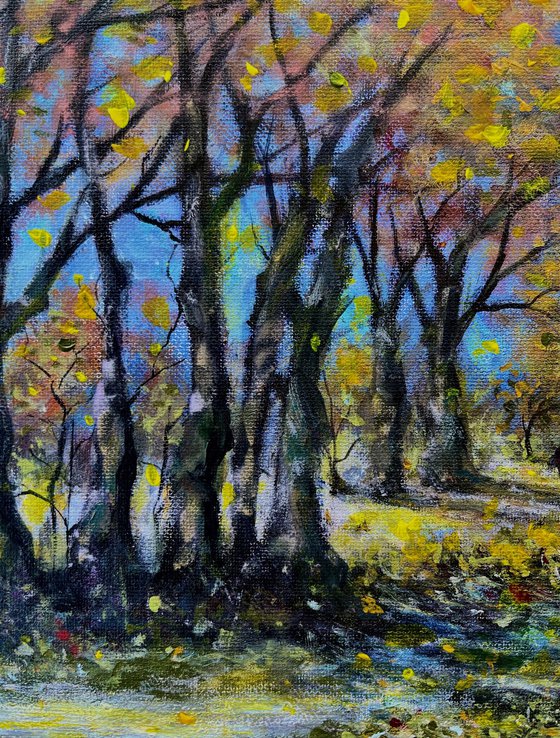 When trees tell stories