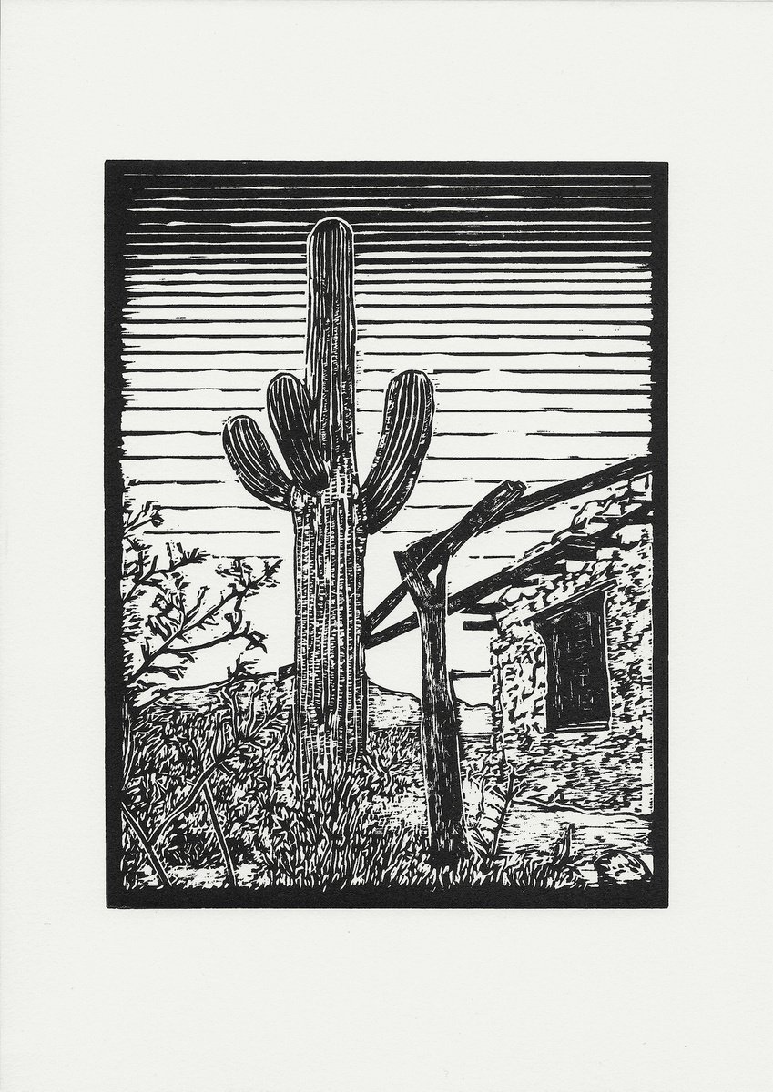 Saguaro at ranch homestead, Arizona by The Inkery