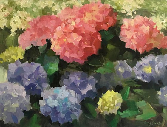 Happy Hydrangea