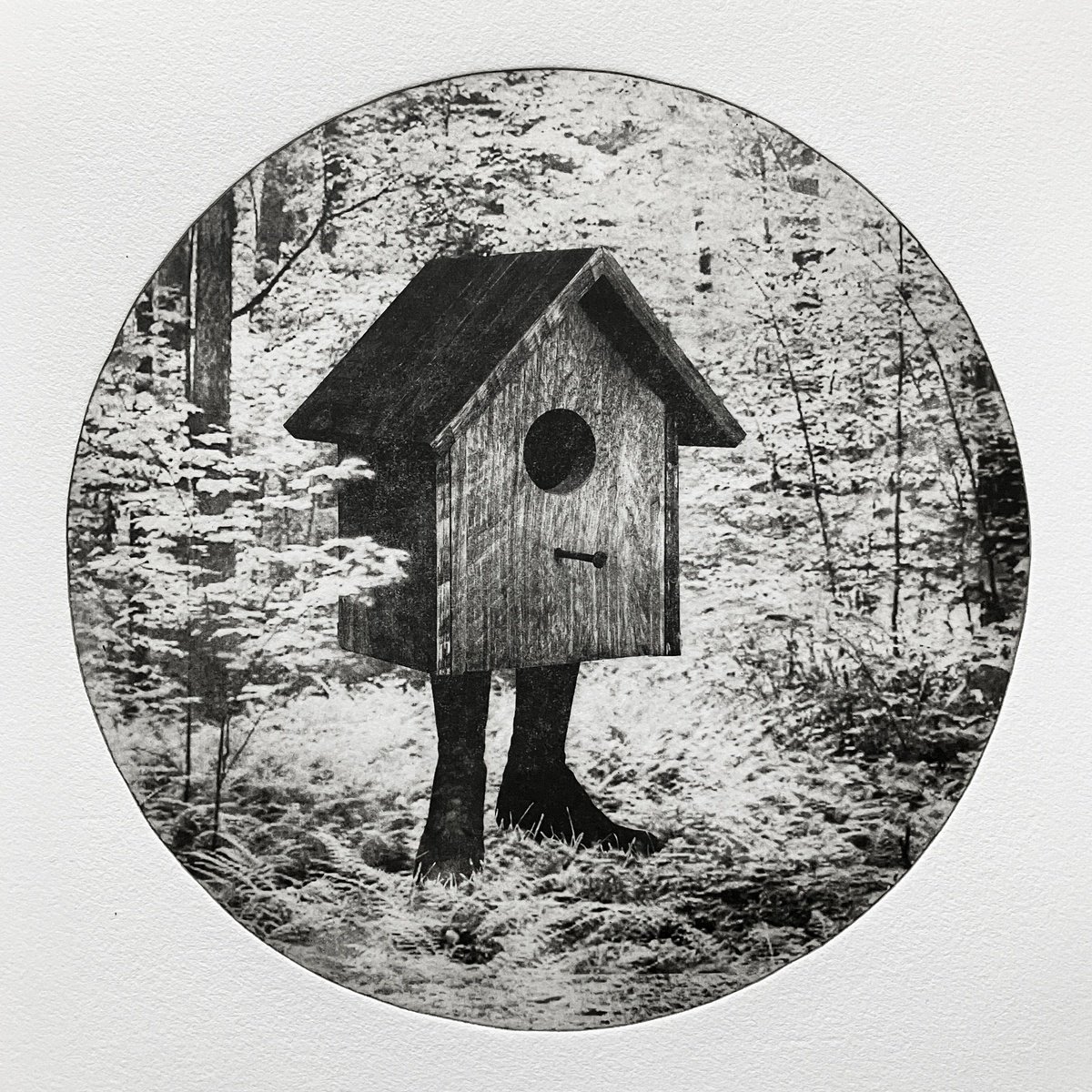 Surrealistic Etchings & Engravings , Birdbox Ii By Jaco Putker, 15 X 16, Artwork For Sale On Artfinder