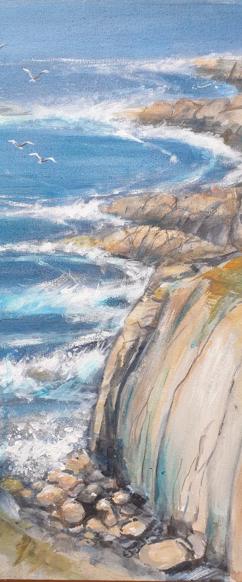 Cliffs near Falmouth, Cornwall by Jean  Luce