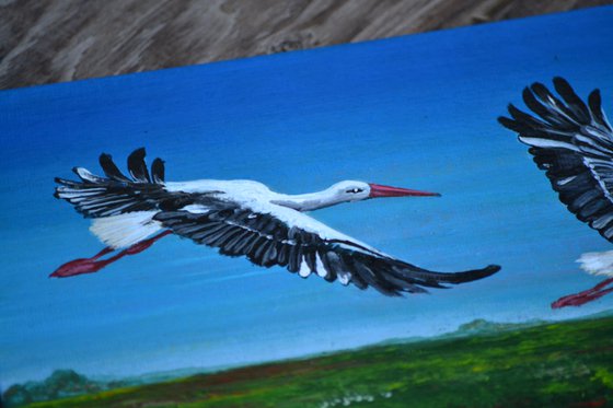 Storks in flight