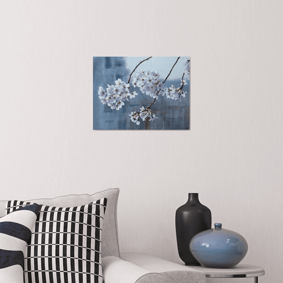 Cherry Blossoms in Gentle Light (Sakura)