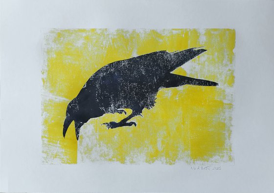 Raven 1/6