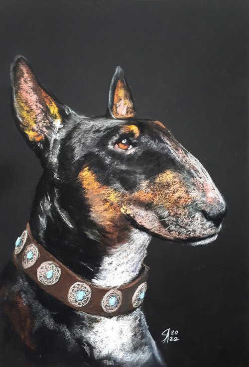 Bull terrier... From the Animal Portraits series /  ORIGINAL PAINTING by Salana Art Gallery