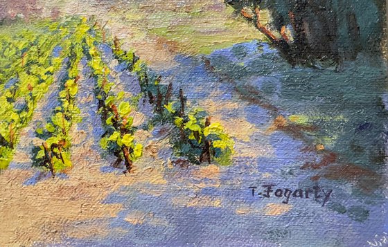 Sierra Foothills Vineyards