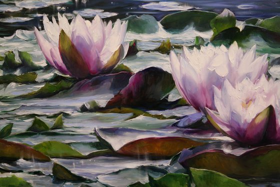 "Water lilies"