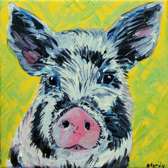 "Black and white piglet"