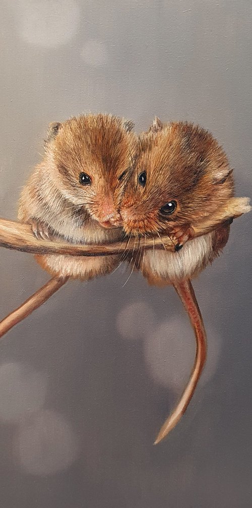 Bubble and Squeak by Sarah Eden