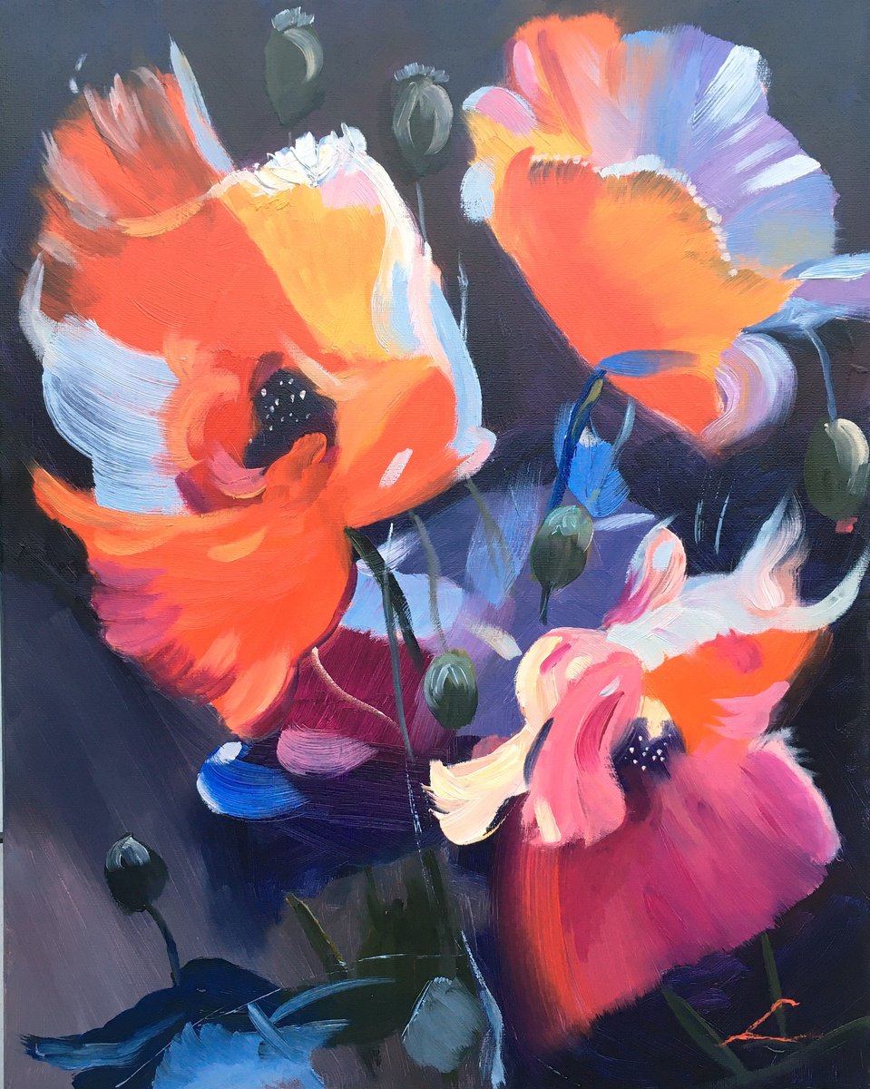 Impressionistic Botanical Oil Painting By Elena Sokolova, 16 X 20, Poppies 7, Original Artwork