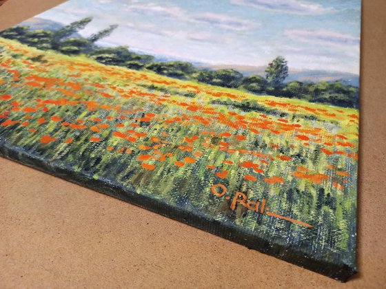 Poppy field