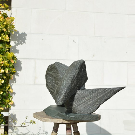 "Particular Insight"