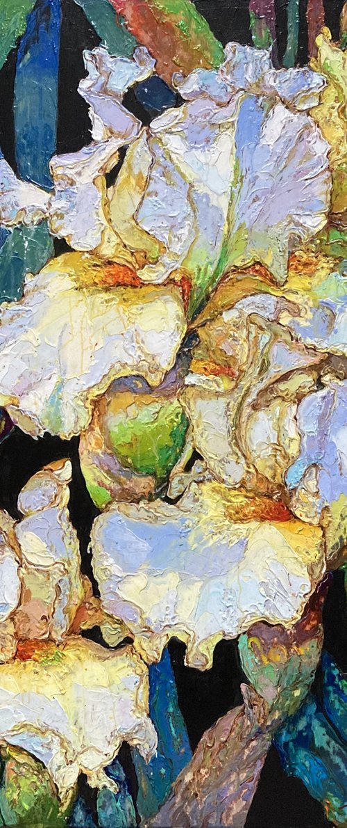 Irises by Andriy Vutyanov