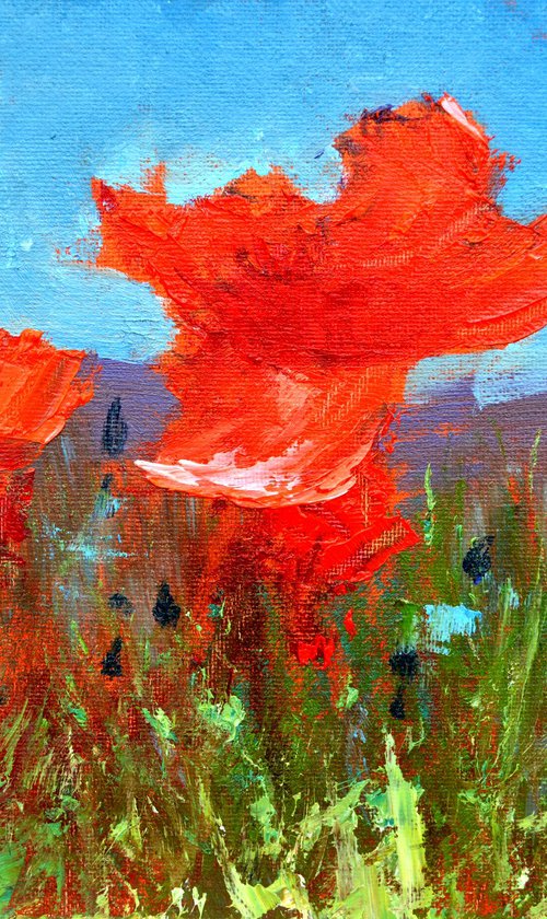 Coral Poppies 21X30 by Elena Lukina