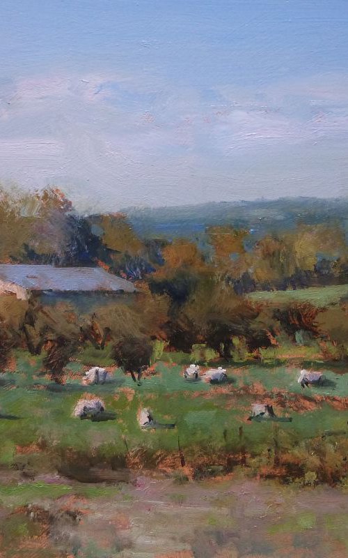 Flock of Sheep by Pascal Giroud