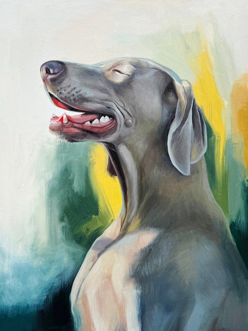 Weimaraner. Dog Portrait by Anastasia Parfilo