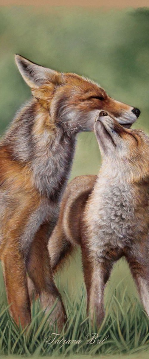 Fox love by Tatjana Bril