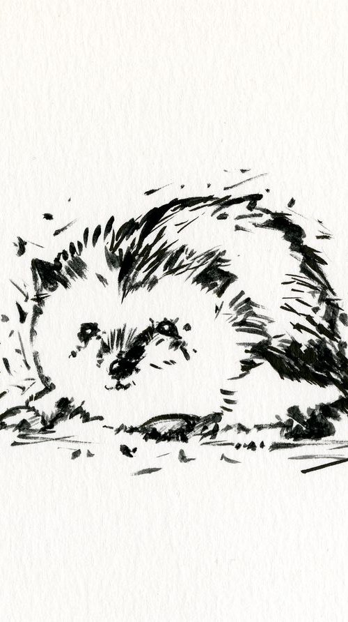 Adorable Hedgehog 9 - Small Minimalist Ink Illustration by Kathy Morton Stanion by Kathy Morton Stanion