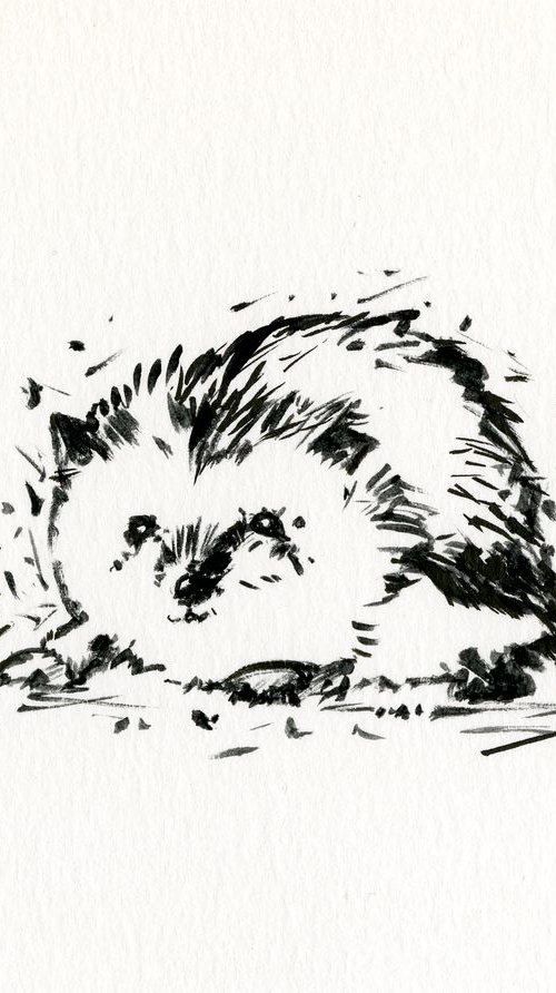 Adorable Hedgehog 9 by Kathy Morton Stanion