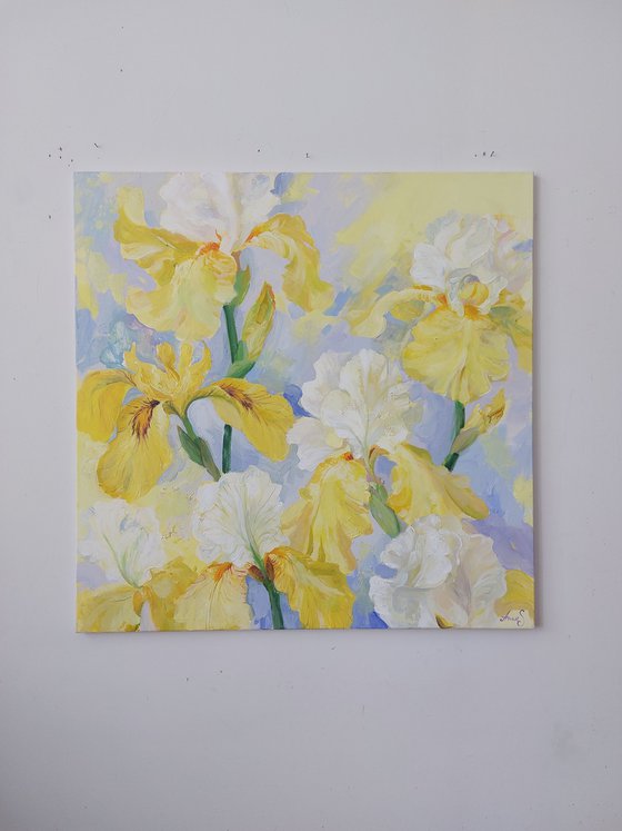 ”Where the Light Blooms”