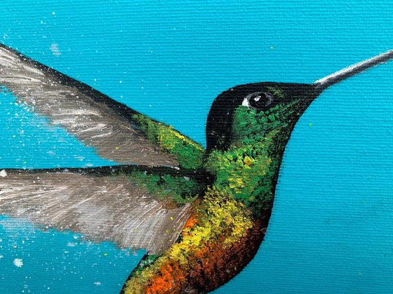 Hummingbird Love