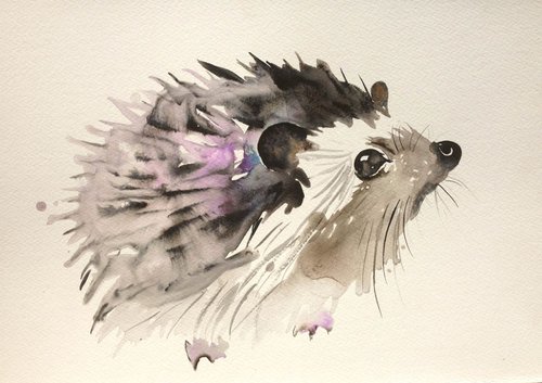 Violet hedgehog by Tina Brosi