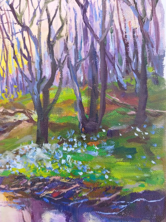 Spring forest landscape