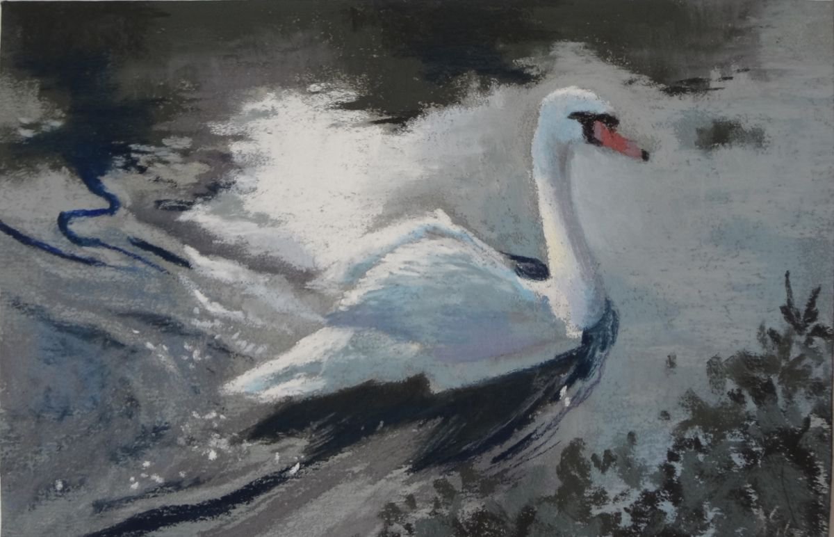 Swan on the Canal by Joanne Carmody Meierhofer