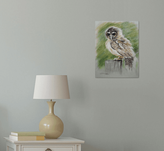 Owl I / From my a series of BIRDS / ORIGINAL PAINTING