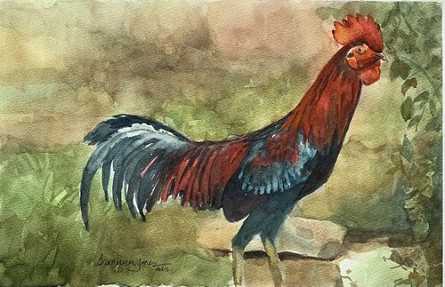 Rooster by Bronwen Jones