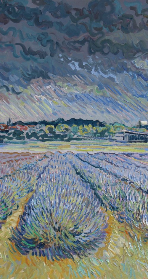 Lavender field Norfolk by Nigel Dickerson