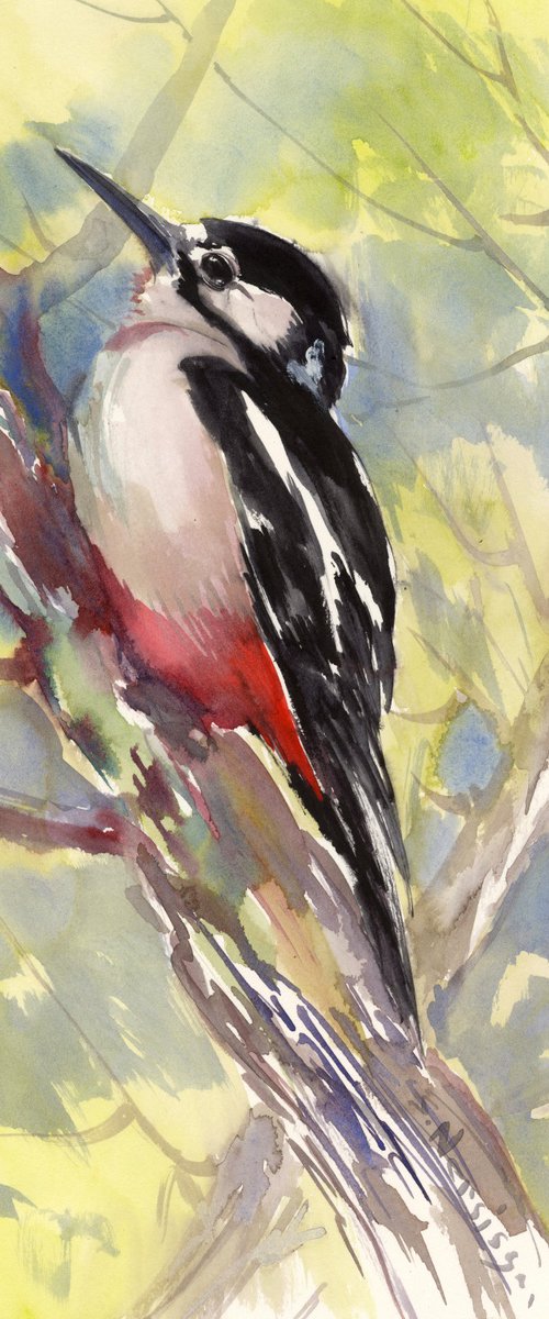 Dawny Woodpecker by Suren Nersisyan