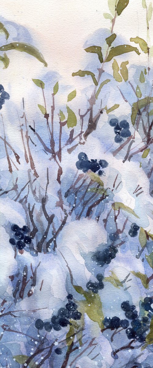 Winter Berries by SVITLANA LAGUTINA